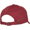 skwm-tb-TU016_P6-00150 Broke The Dad Cap