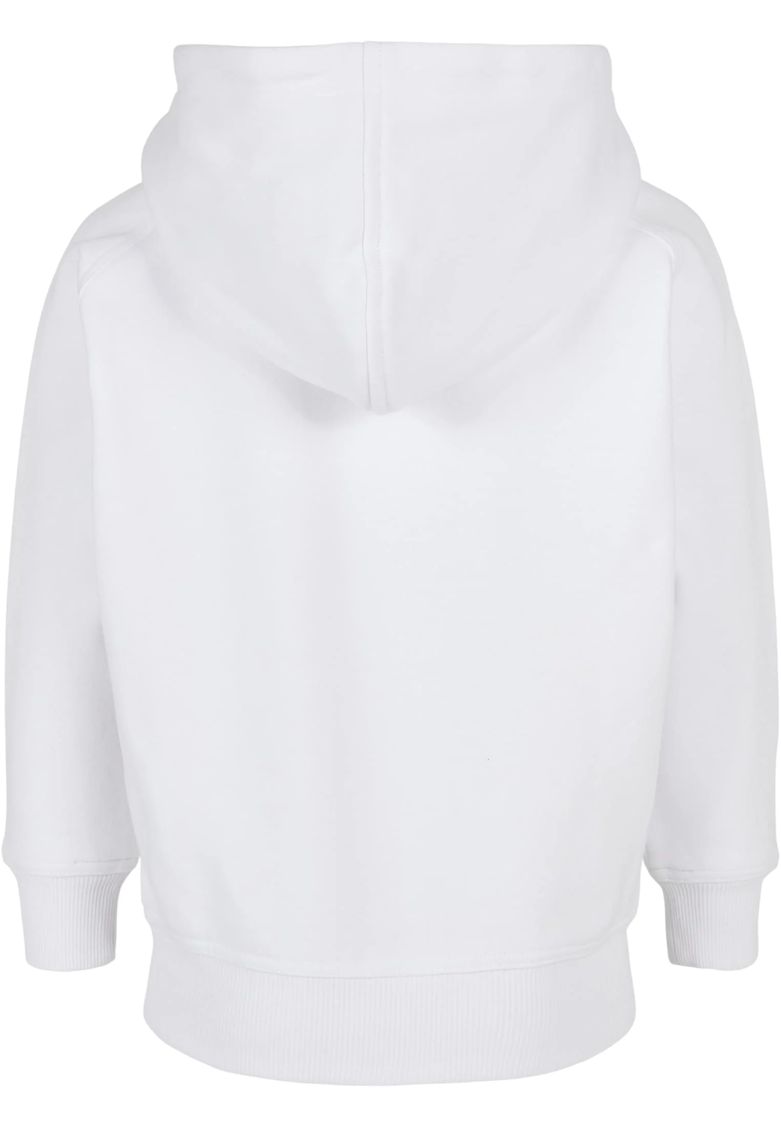 skwm-tb-UCK014_P2-00220_44dae9a1-5e38-4016-97c7-1c1ada18aea6 Boys Blank Hoody