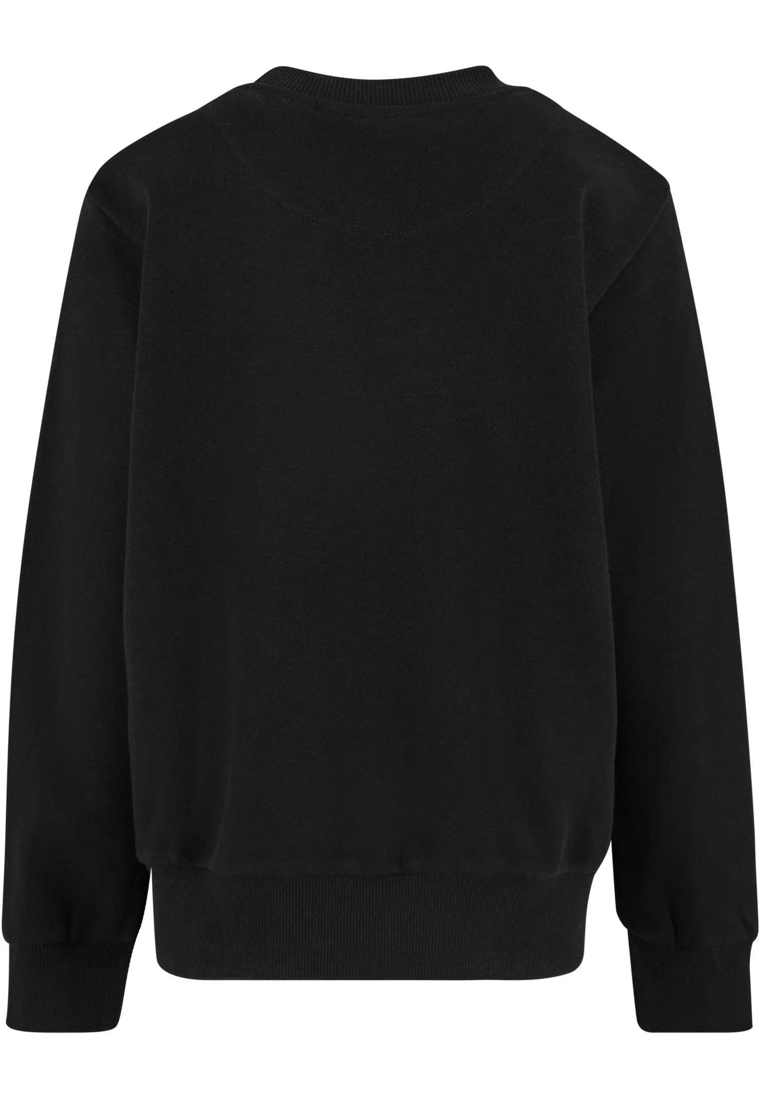 skwm-tb-UCK6663_P2-00007_fa24263c-b89e-4fa9-8265-e83e78c78788 Boys Light Terry Crew