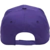 skwm-tb-VVSC_P2-02031 DefShop x European League of Football Vienna Vikings Snapback Cap