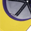skwm-tb-VVSC_P8-02031 DefShop x European League of Football Vienna Vikings Snapback Cap